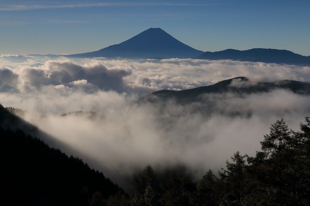 a0188405_23333258.jpg