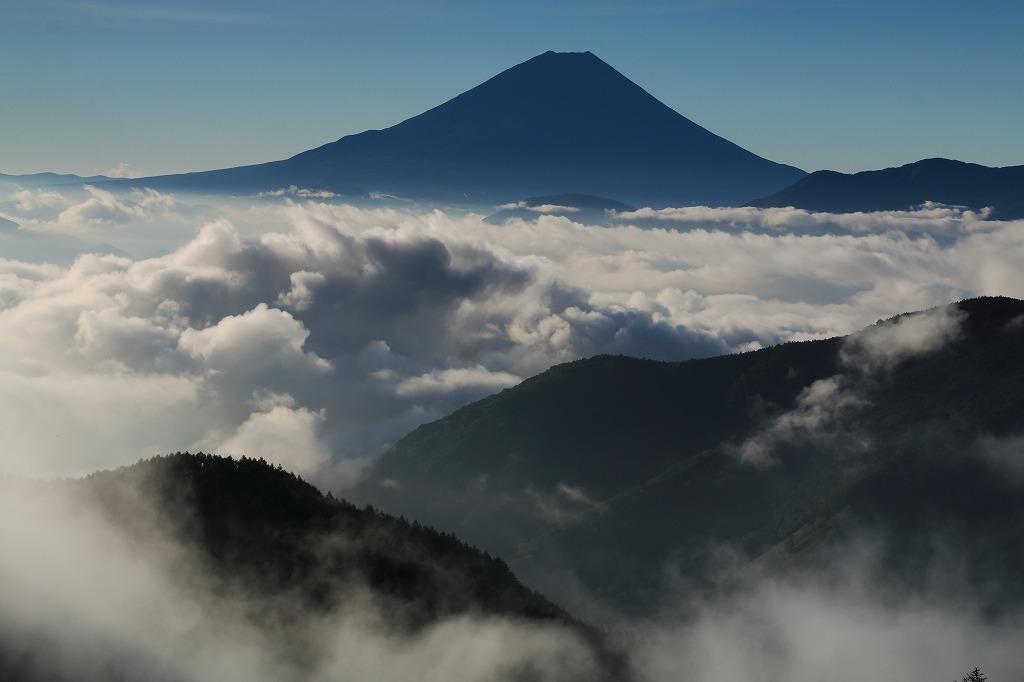a0188405_23342254.jpg