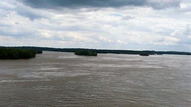 a0310405_09424784.jpg