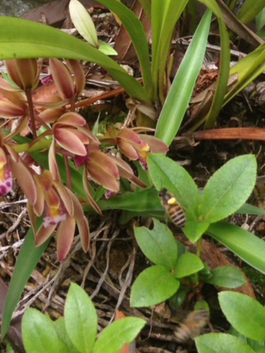 c0301808_00081591.png