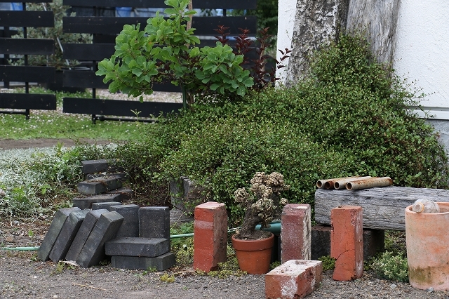 f0204110_17010632.jpg