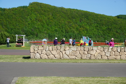 d0200811_08233217.jpg