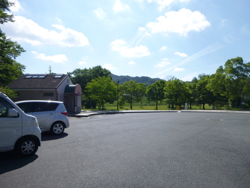 d0170615_19464361.jpg