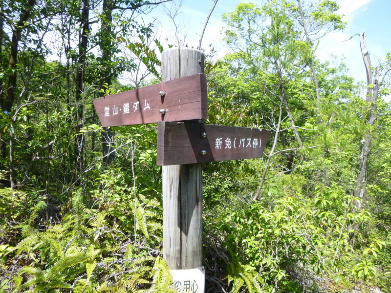 d0170615_19474960.jpg