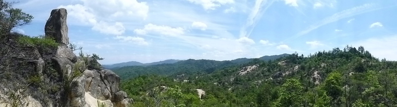 d0170615_19494079.jpg