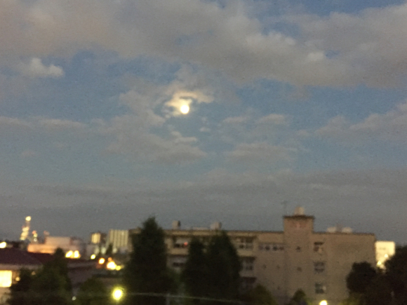 a0098418_22391966.jpg