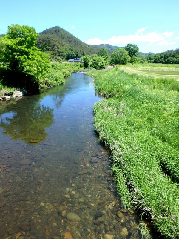d0091323_17275773.jpg