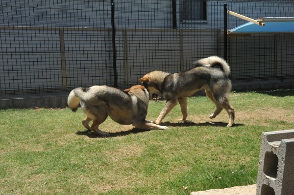 f0143123_10282305.jpg