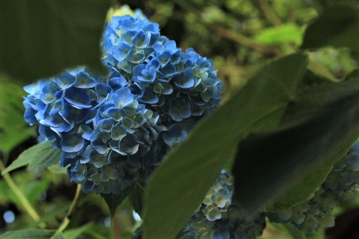 f0354923_00183024.jpg