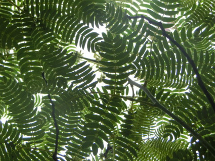 f0354923_21385394.jpg