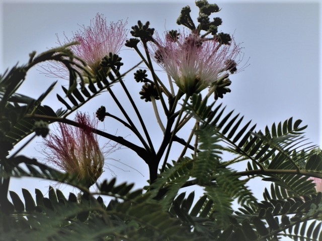 f0354923_21405523.jpg