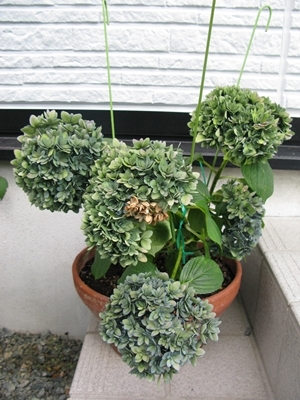 f0129726_21452639.jpg
