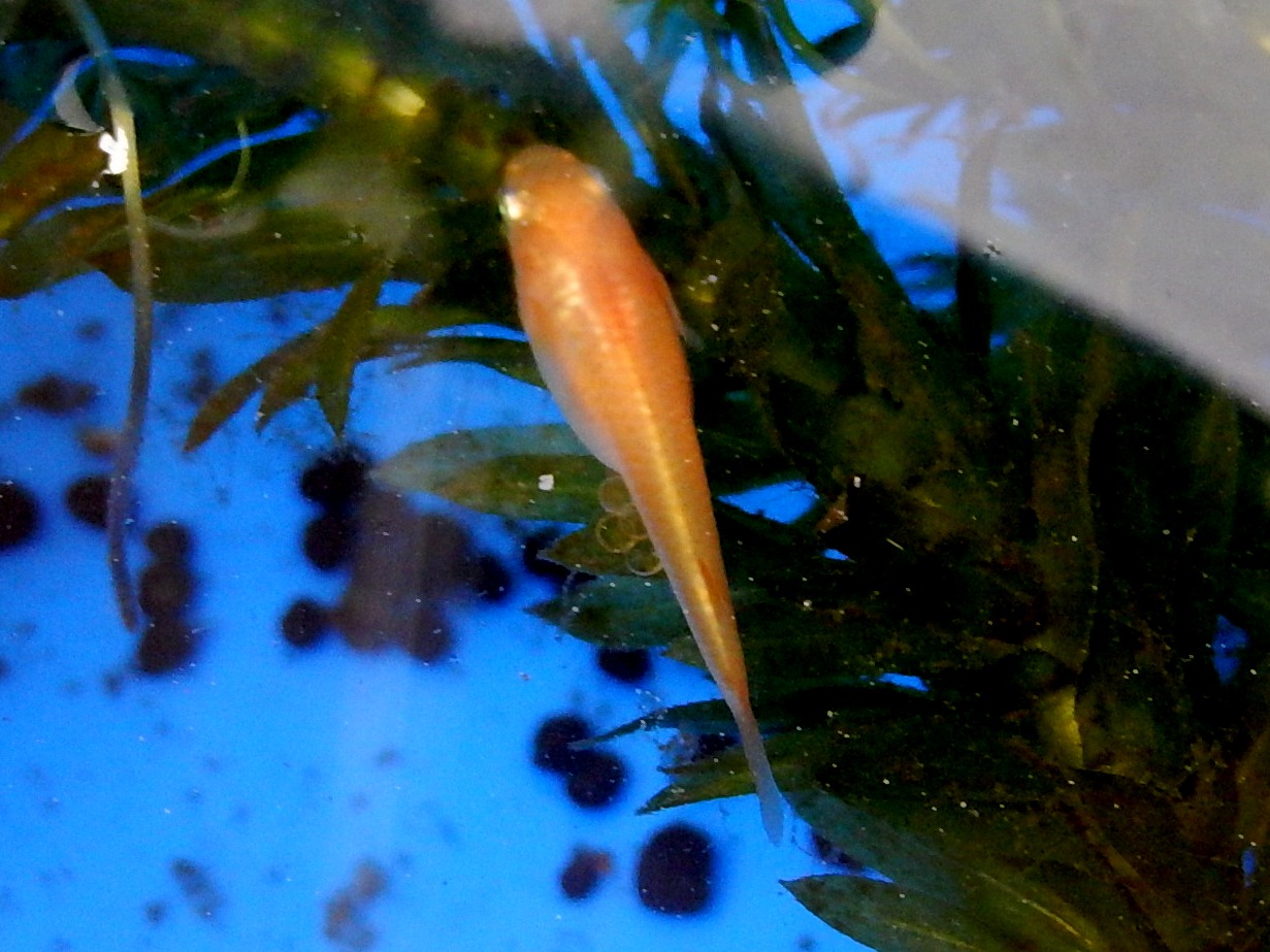 b0000829_9482323.jpg