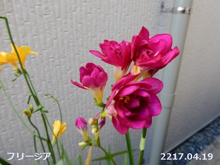 e0033229_18372767.jpg