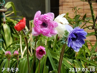 e0033229_18421910.jpg