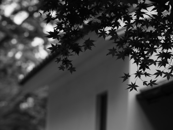 c0133533_00001057.jpg