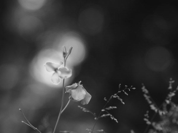 c0133533_00051511.jpg