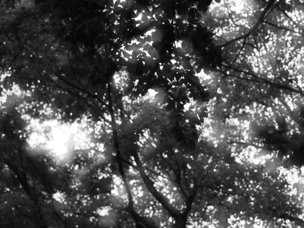 c0133533_00071406.jpg
