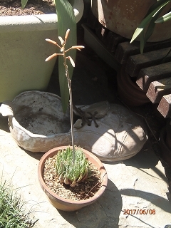 c0147935_20331725.jpg