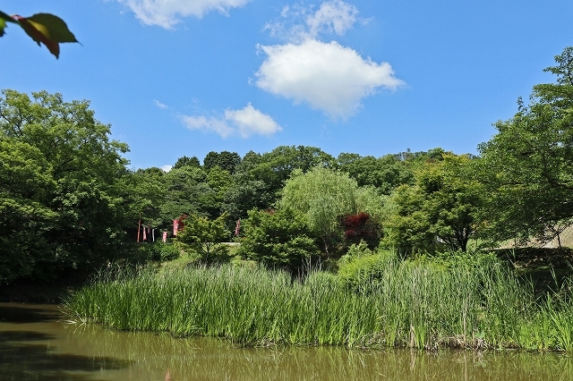a0242438_20220006.jpg