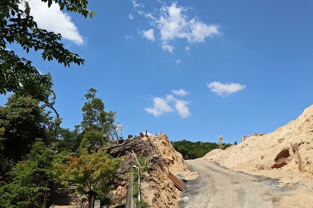 a0242438_20220110.jpg