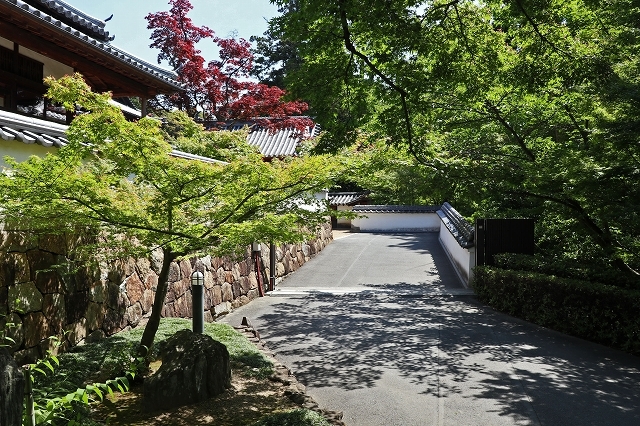 a0242438_20220910.jpg