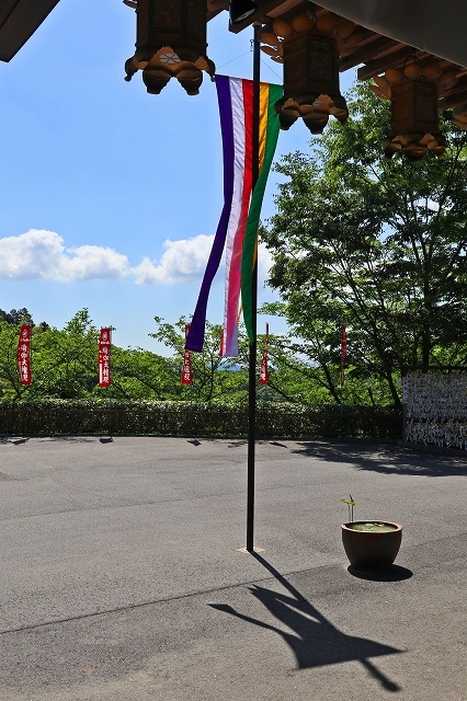 a0242438_20220920.jpg