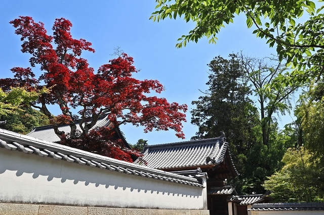 a0242438_20225920.jpg