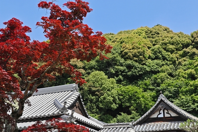 a0242438_20225929.jpg