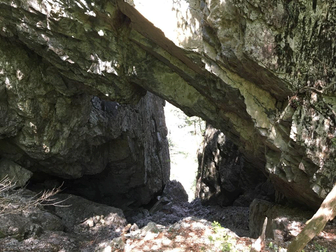 e0371039_7101516.gif