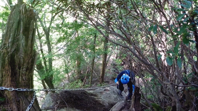 e0371039_7103261.gif