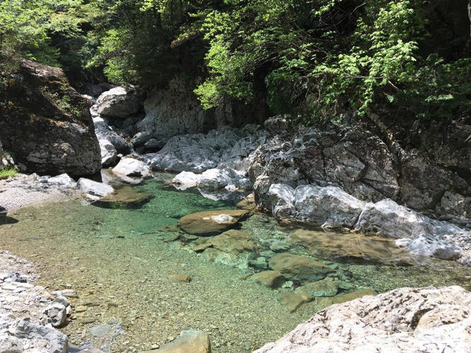 e0371039_7105073.gif