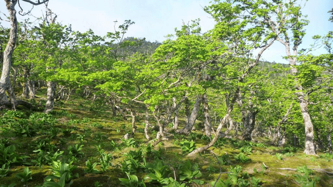 e0371039_7122280.gif