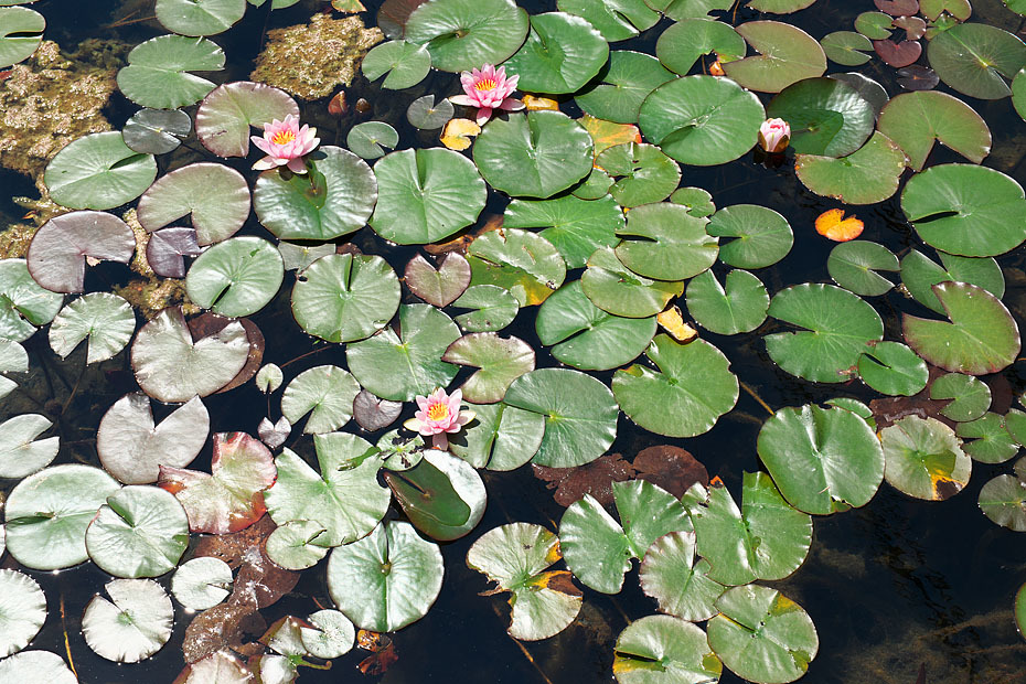 c0067040_22012500.jpg