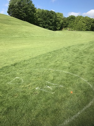 c0227640_08114681.jpg