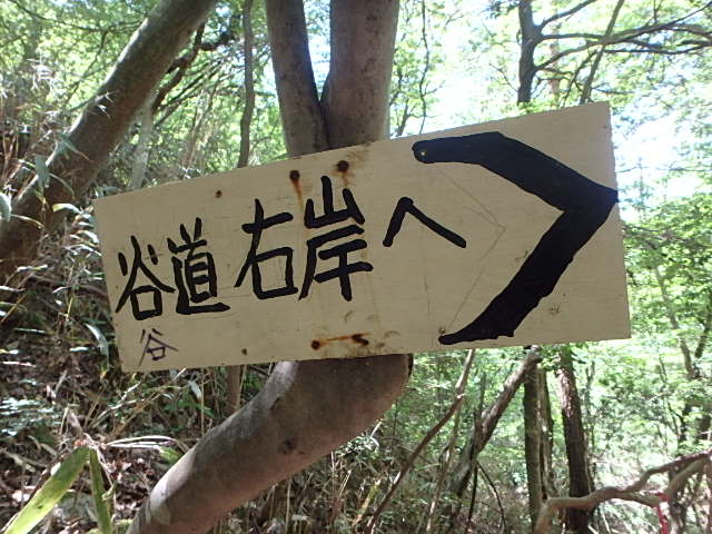 f0334143_757584.jpg