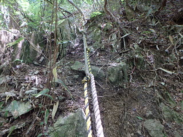 f0334143_7589100.jpg