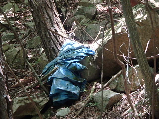 f0334143_7593431.jpg