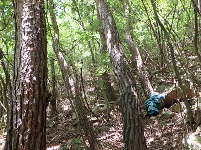f0334143_81099.jpg