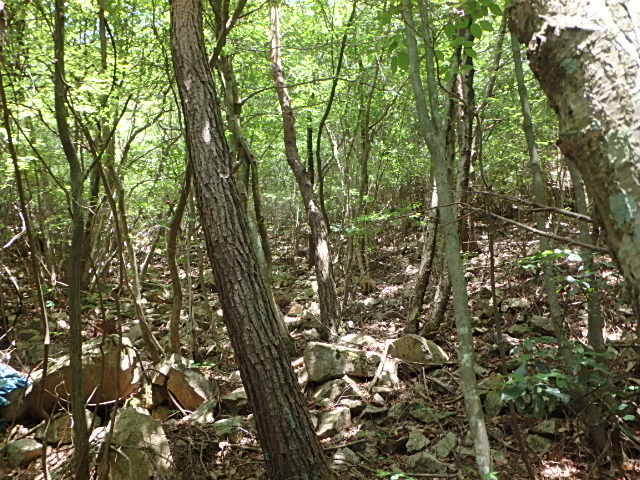 f0334143_811872.jpg