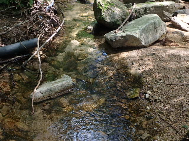 f0334143_813053.jpg