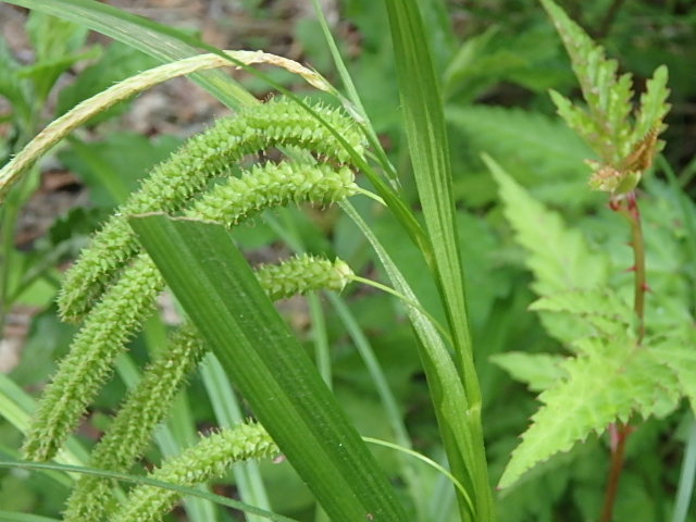 f0334143_821520.jpg