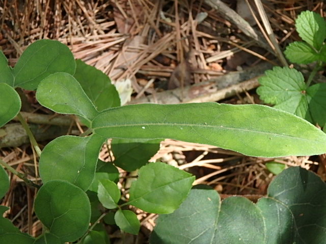 f0334143_82384.jpg