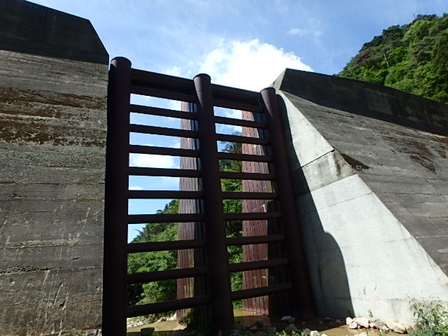 f0334143_845872.jpg