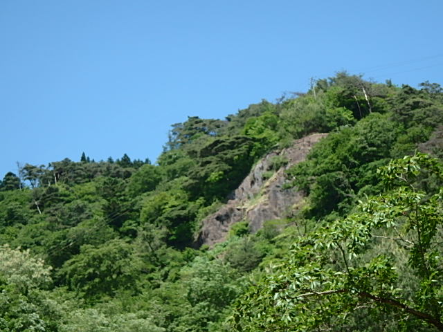 f0334143_84780.jpg