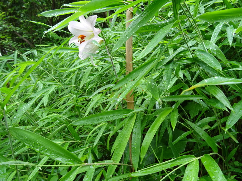 c0108460_20440109.jpg