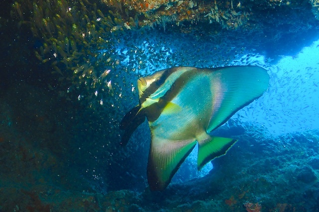b0062363_16355800.jpg