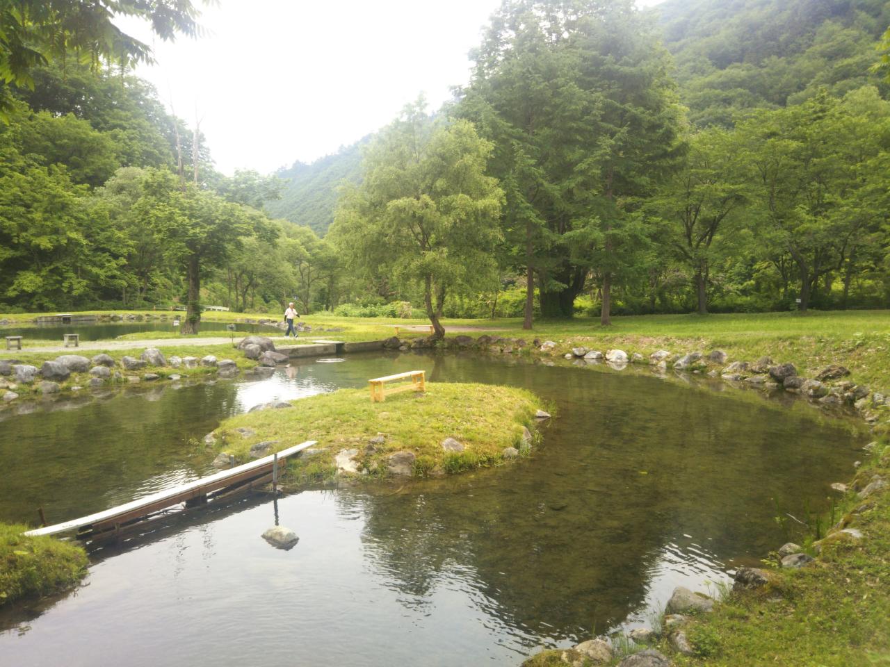 f0208665_420897.jpg