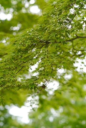 b0114367_20433207.jpg
