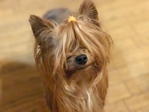 e0248268_05264930.jpg